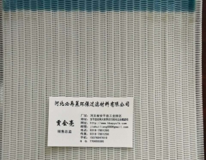 聚酯螺旋干網